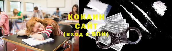 шишки Алексин