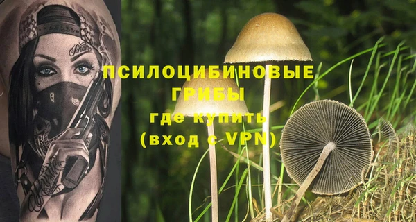 ALPHA PVP Алзамай