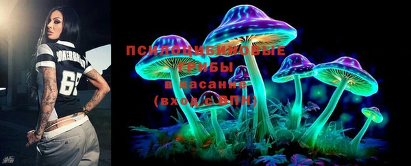 мяу мяу мука Билибино